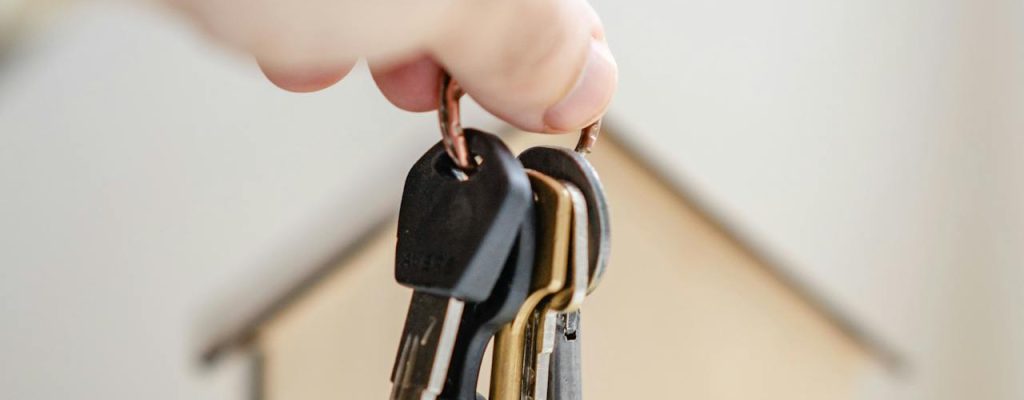 pexels-oleksandr-p-7599735